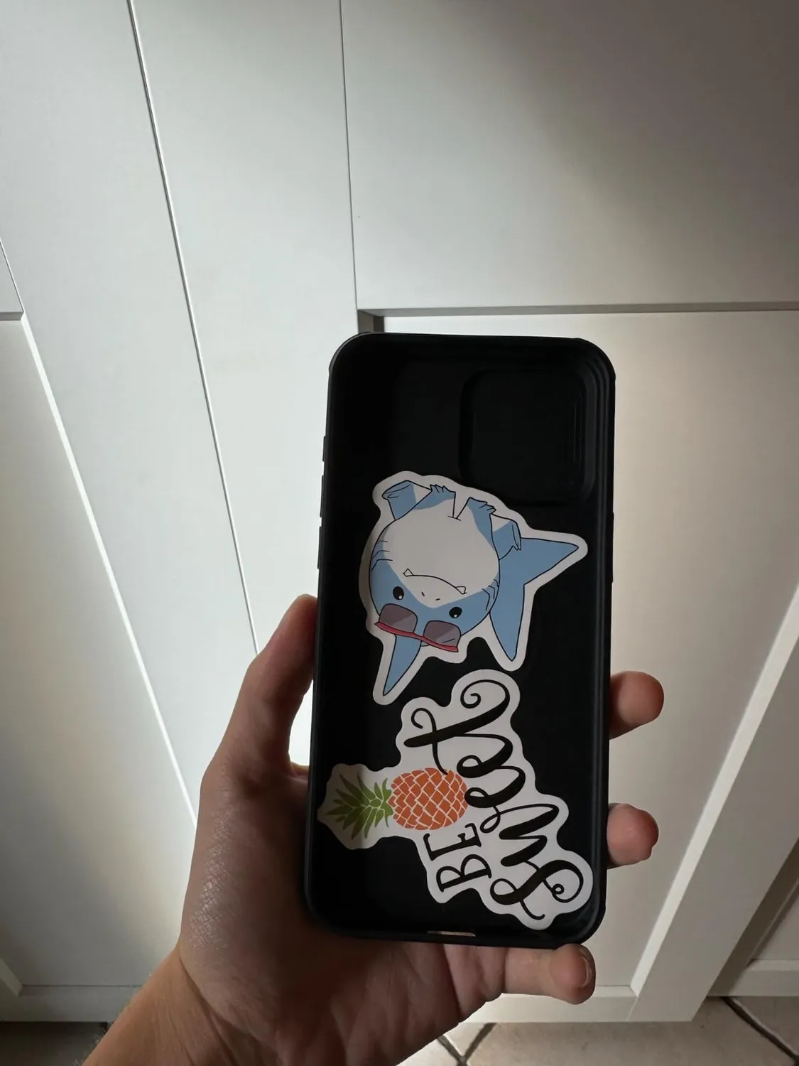 CloudValley iPhone 15 Pro Max cover nera MagSafe