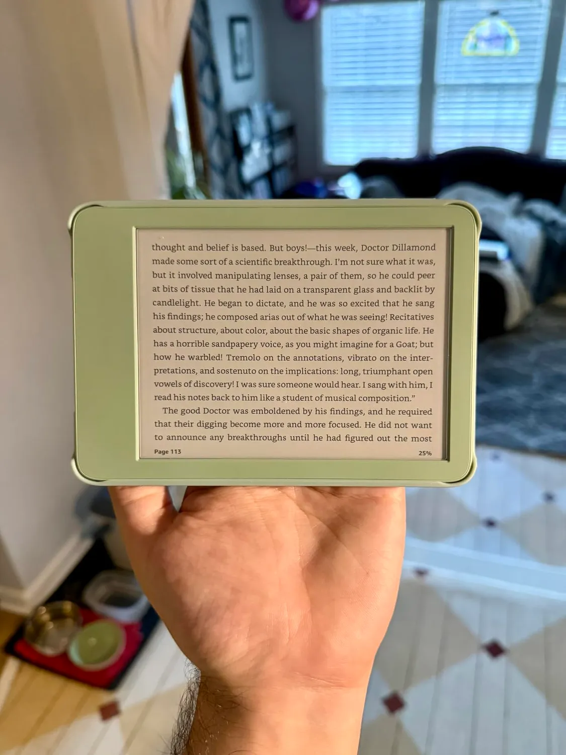 MoKo Custodia Kindle 6" 11ª Gen 2024/2022 Verde Agave