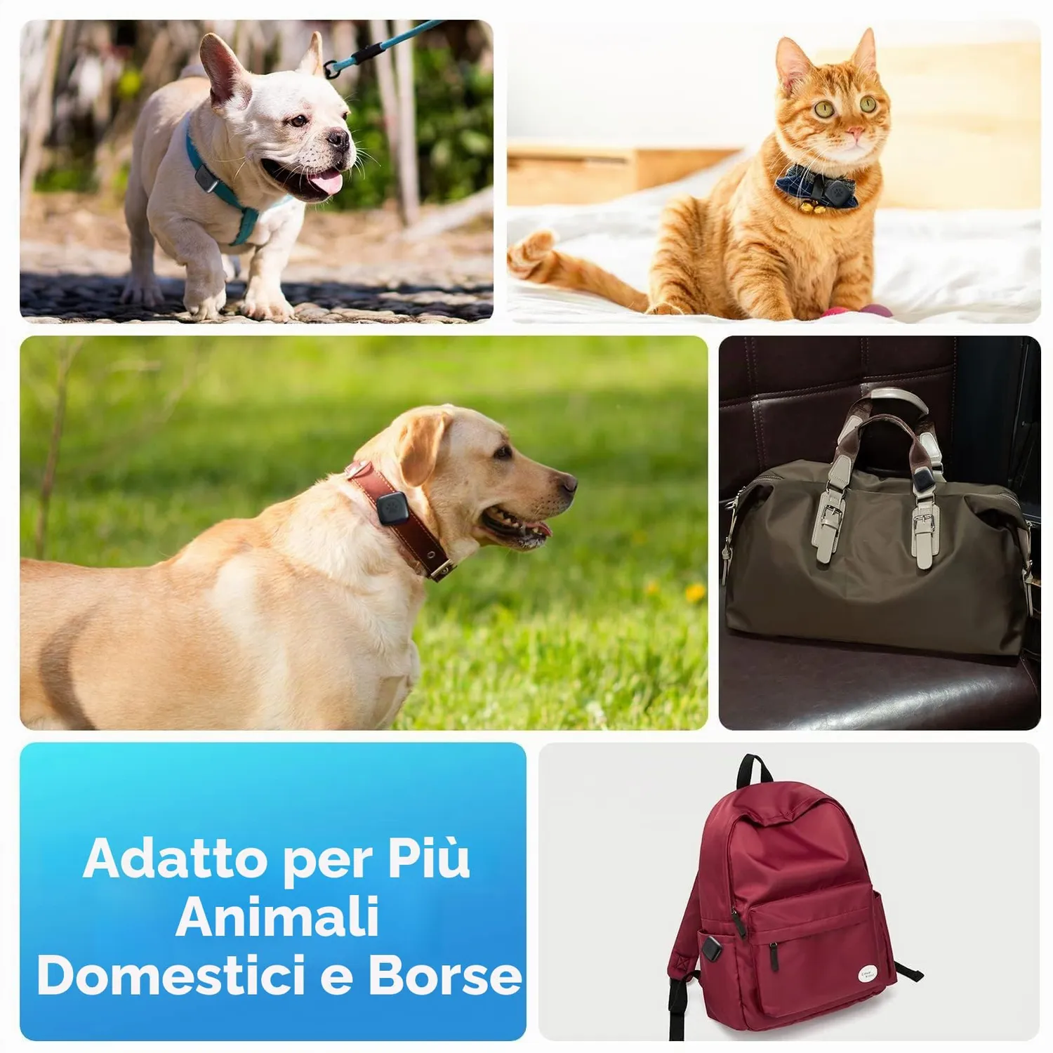 CloudValley Cover AirTag Collare Cani Gatti Metallo 20 g